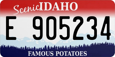 ID license plate E905234