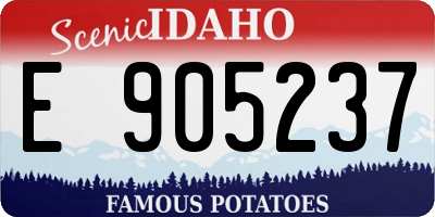 ID license plate E905237