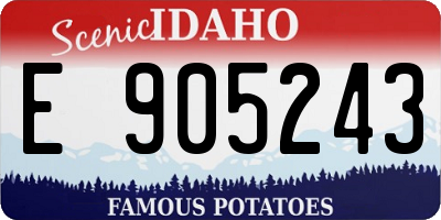 ID license plate E905243