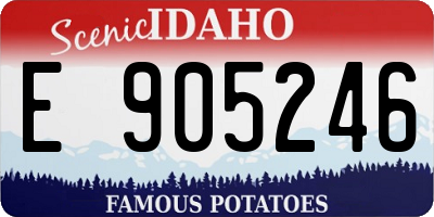 ID license plate E905246