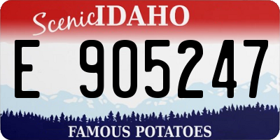 ID license plate E905247