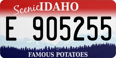 ID license plate E905255