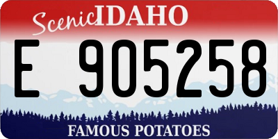 ID license plate E905258