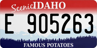 ID license plate E905263