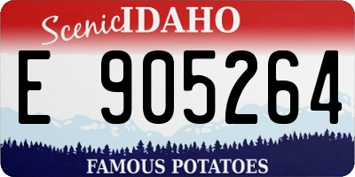 ID license plate E905264