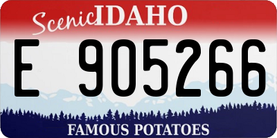 ID license plate E905266