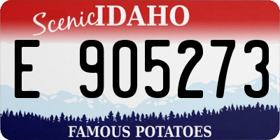 ID license plate E905273