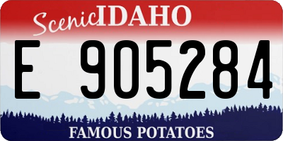 ID license plate E905284