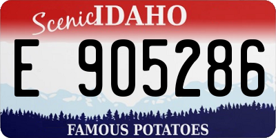 ID license plate E905286