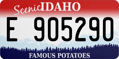 ID license plate E905290