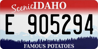 ID license plate E905294