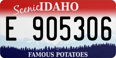 ID license plate E905306