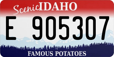 ID license plate E905307
