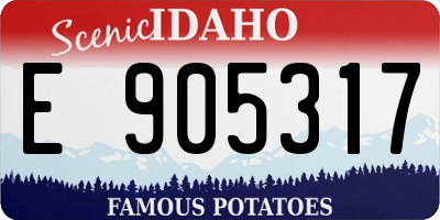ID license plate E905317