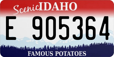 ID license plate E905364