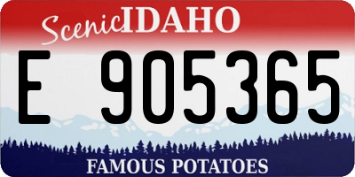 ID license plate E905365