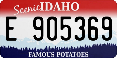 ID license plate E905369