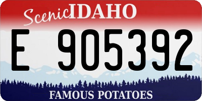 ID license plate E905392