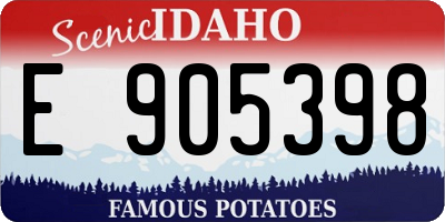 ID license plate E905398