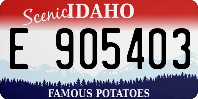 ID license plate E905403