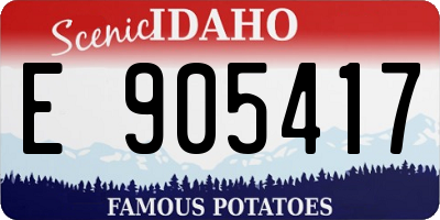 ID license plate E905417