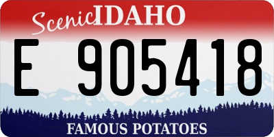 ID license plate E905418