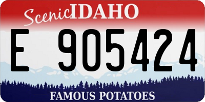 ID license plate E905424