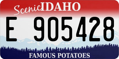 ID license plate E905428