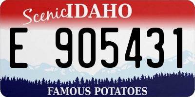 ID license plate E905431