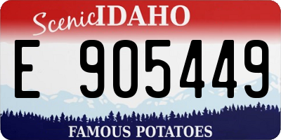 ID license plate E905449