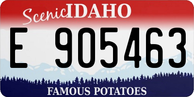 ID license plate E905463