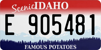 ID license plate E905481