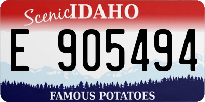ID license plate E905494