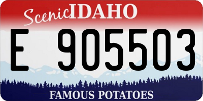 ID license plate E905503