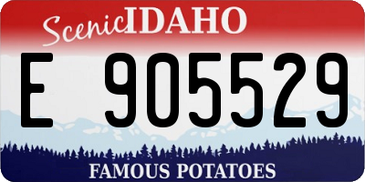 ID license plate E905529