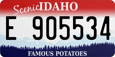 ID license plate E905534
