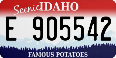 ID license plate E905542