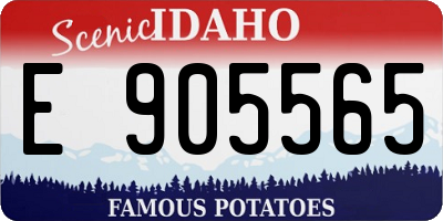 ID license plate E905565