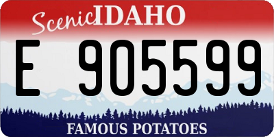 ID license plate E905599