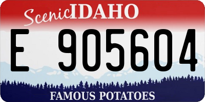 ID license plate E905604