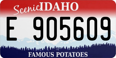 ID license plate E905609