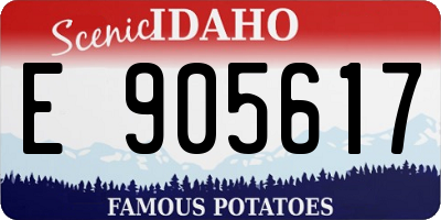 ID license plate E905617