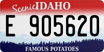 ID license plate E905620
