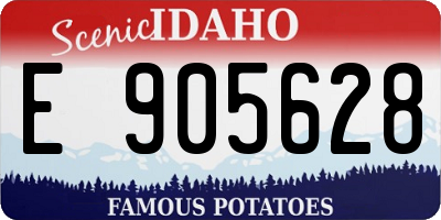 ID license plate E905628