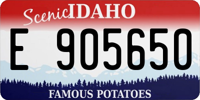 ID license plate E905650