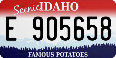 ID license plate E905658