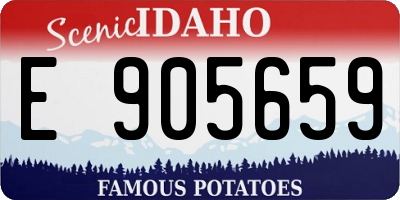 ID license plate E905659