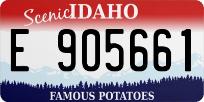 ID license plate E905661