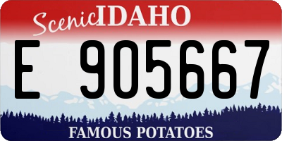 ID license plate E905667