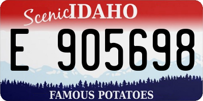 ID license plate E905698